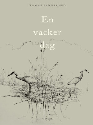 cover image of En vacker dag